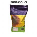 Seminte de floarea soarelui Puntasol CL, 150000 seminte, Saaten Union