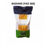 Seminte de porumb Badiane (FAO 360), 50000 seminte, Saaten Union