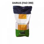 Seminte de porumb Darius (FAO 390), 50000 seminte, Saaten Union