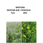 Mixtura de seminte plante furajere Viterra MP, culturi secundare, mustar alb 71% + Phacelia 29%, 25 Kg, Saaten Union