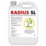 Dezinfectant sol Radius SL - 10 L