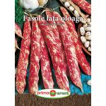 Seminte fasole pitica, Borloto red, 70 g