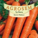 Flakker seminte morcovi 500 gr cu radacini usor conice, lungime de 22-24 , Agrosem