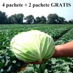 Pachet promotional Seminte de varza de toamna Muntenia, 100 grame, Patru Agro, 4 pachete + 2 pachete GRATIS