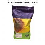 Pachet promotional seminte de floarea soarelui Marquesa CL, 150000 seminte, Saaten Union, 18 saci + 2 saci GRATIS