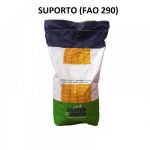 Pachet promotional seminte de porumb Suporto (FAO 290), 25000 seminte, Saaten Union, 18 saci + 2 saci GRATIS