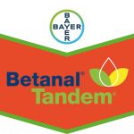Erbicid Betanal Tandem 390 SC, 5 Litri, Bayer Crop Science