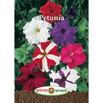 Seminte flori Petunia mix