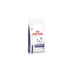 Royal canin Neutered Adult Small Dog, 3.5 Kg