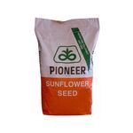 Seminte floarea soarelui Pioneer P64LE163 - 150.000 sem.