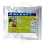 Fungicid Captan 80 WDG, 25 grame, Arysta
