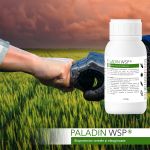 PALADIN WSP, Fungicid ecologic pentru cereale și oleaginoase, doza pentru 1 hectar, 125 g
