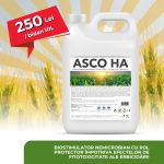 ASCO HA, biostimulator nemicrobian cu rol protector impotriva efectelor de fitotoxicitate aparute ca urmare a erbicidarii florii soarelui, rapitei, porumbului, graului, bidon 10L