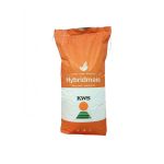 Seminte Porumb Inteligens (FAO 420), Tratament Initio, 50000 seminte, KWS