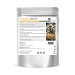 HYDRA WSP, Insectosupresor cereale și oleaginoase, doza pentru 1 hectar, 500g