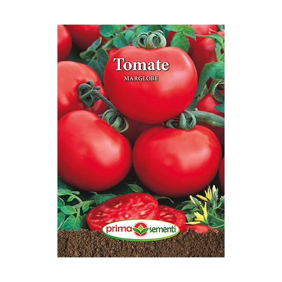 Seminte tomate Marglobe 1g