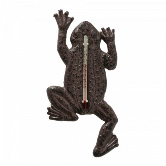 Termometru Frog Reso 11/23 cm