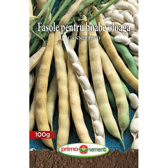 Seminte fasole, oloaga, pentru boabe, Cannelino 100g