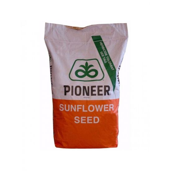 Seminte floarea soarelui Pioneer P64LE137 - 150.000 sem.