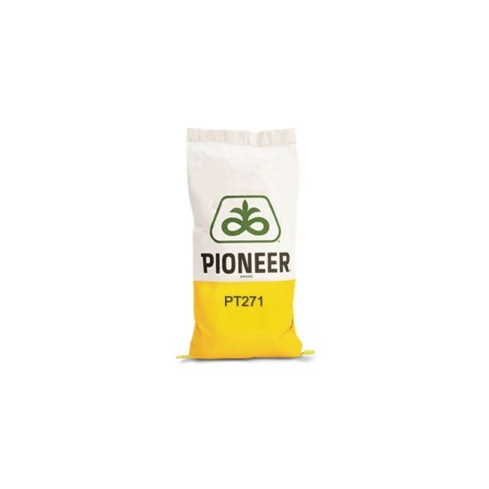 Seminte Rapita De Toamna Pioneer PT271 - Fungicid + Biostimulator + Insecticid