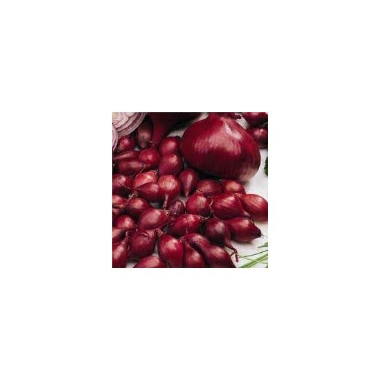 Arpagic rosu, Red Karmen, calibru 8-21, 500 g