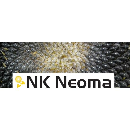 Seminte De Floarea Soarelui NK Neoma