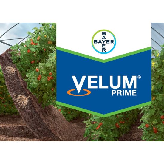 Nematocid Fungicid Velum Prime 400 SC - 18.5 ml