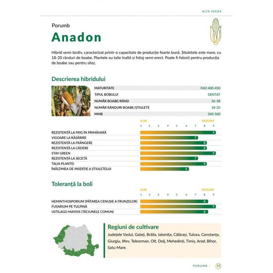 Seminte Porumb Anadon(FAO 400-450), 50000 boabe, Alta Seeds