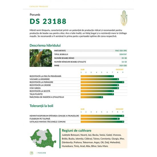 Seminte Porumb DS 23188(FAO 350-390), 50000 boabe, Alta Seeds