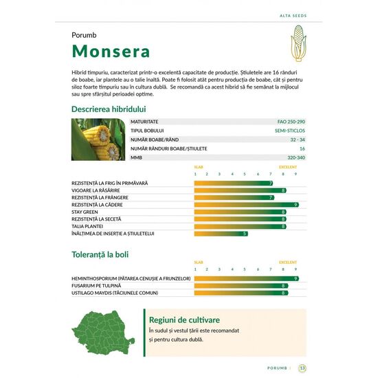 Seminte Porumb Monsera(FAO 250-290), 50000 Boabe, Alta Seeds