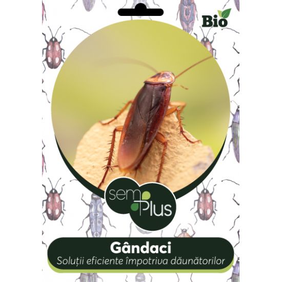 Insecticid bio impotriva gandacilor, 50 grame, SemPlus