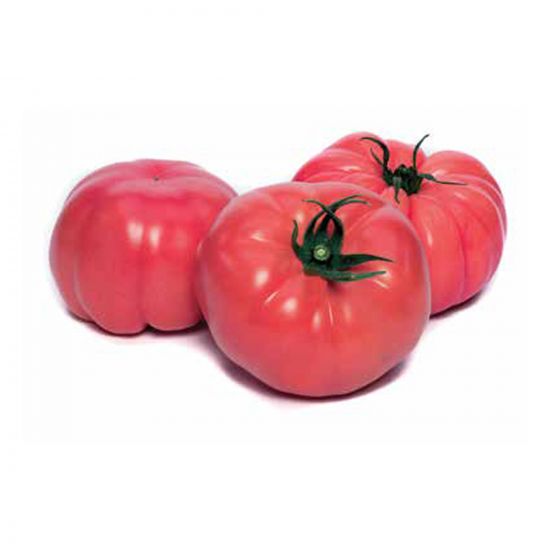 Seminte de tomate Cassa Rosa F1, 500 seminte, Yuksel Seeds