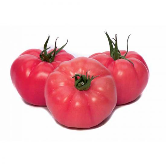 Seminte de tomate Gusto Pink F1, 1000 seminte, Yuksel Seeds