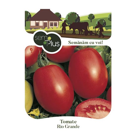 Seminte de tomate Rio Grande, 0,5 grame, SemPlus