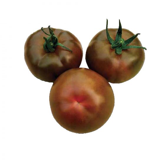 Seminte de tomate Sacher F1, 250 seminte, Yuksel Seeds