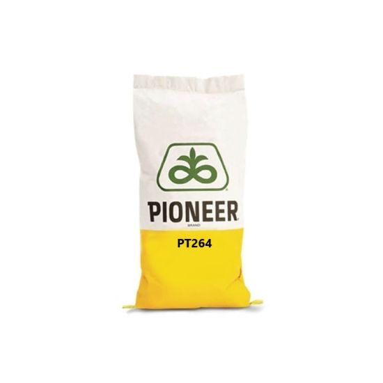 Seminte Rapita De Toamna Pioneer PT264, Fungicid + Biostimulator + Insecticid
