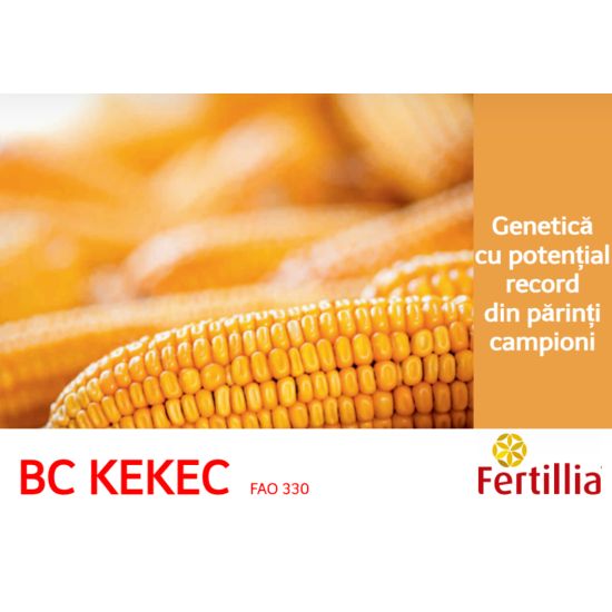 Seminte Porumb BC Kekec (FAO 320), 25000 boabe, Fertillia