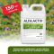 ALFA ACTIV, fertilizant anorganic lichid special pentru culturile de lucerna si trifoi, bidon 10L