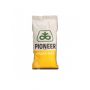 Seminte Rapita De Toamna Pioneer PT303 - Fungicid + Biostimulator  + Insecticid