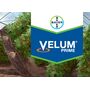 Nematocid Fungicid Velum Prime 400 SC - 100 ml