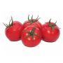 Seminte de tomate Antalya RN F1, 1000 seminte, Yuksel Seeds