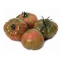 Seminte de tomate Bocamegra F1, 100 seminte, Yuksel Seeds
