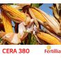 Seminte Porumb Cera 380 (FAO 380), 25000 boabe, Fertillia